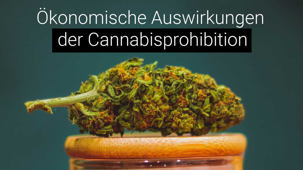 Ökonomische Auswirkungen der Cannabisprohibition