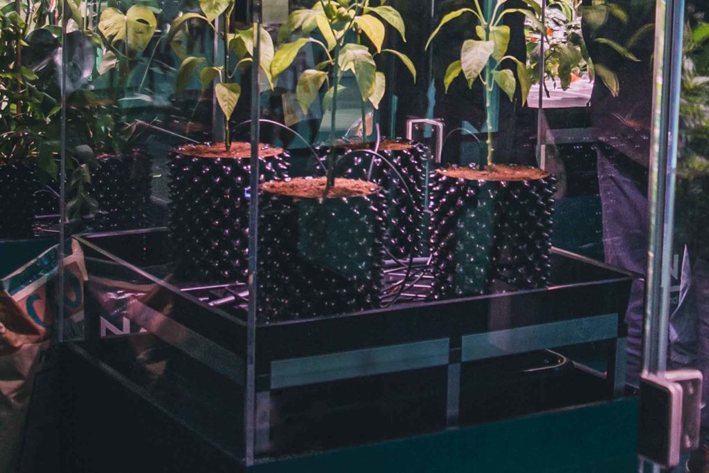 Pflanzentopf Topfsystem in Glas Growbox
Plant pot vs aeroponics